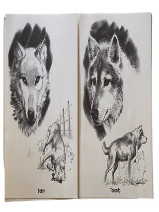 The Wolves of Wolf Park