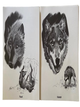 The Wolves of Wolf Park