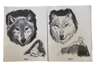 The Wolves of Wolf Park