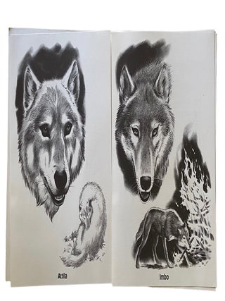 The Wolves of Wolf Park