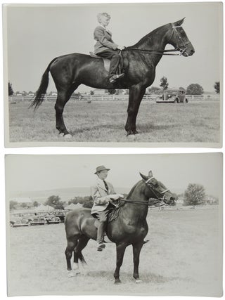 1940s Equestrian Photo Collection