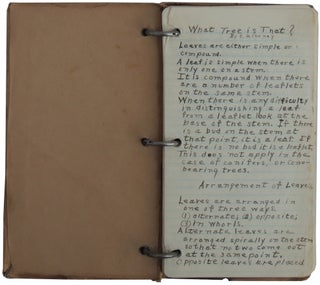 Illustrated Vernacular Book on Trees