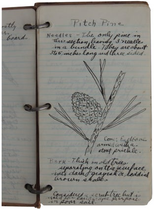 Illustrated Vernacular Book on Trees