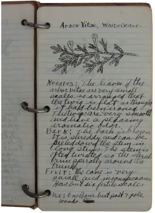 Illustrated Vernacular Book on Trees