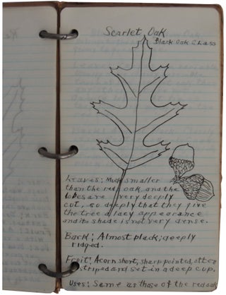 Illustrated Vernacular Book on Trees
